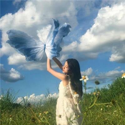 恐龙王